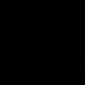 Meet your Posher, Hollie